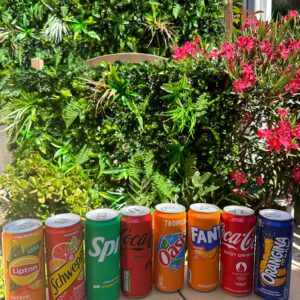 Sodas (Canettes)