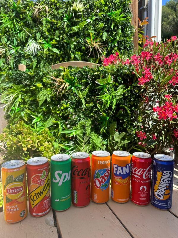 Sodas (Canettes)